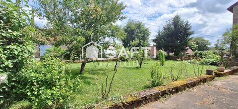 photo no. 10
