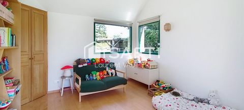 photo no. 13