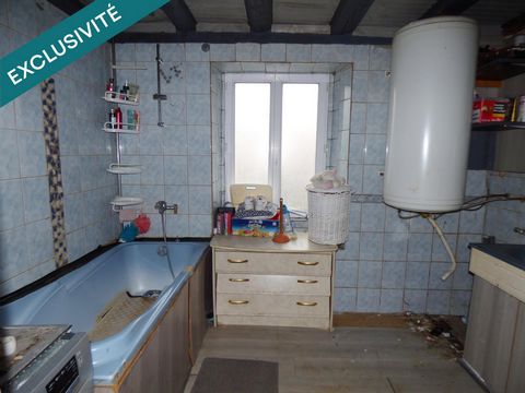 photo no. 8