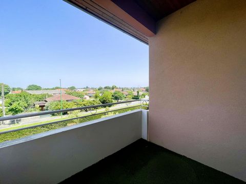 photo no. 5