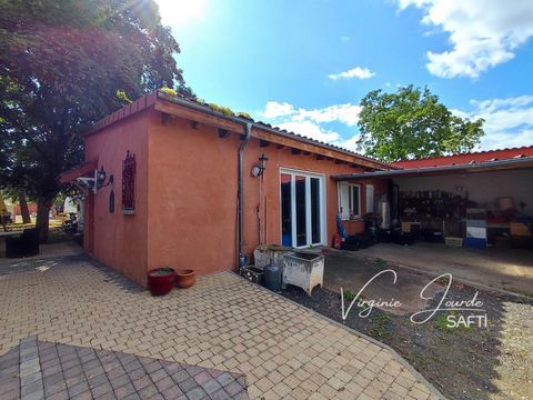 photo no. 10