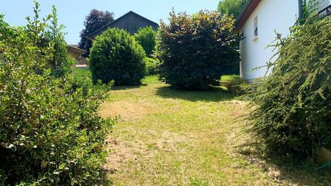 photo no. 13