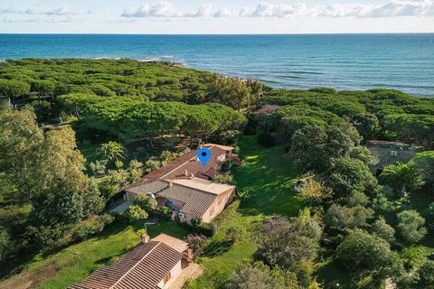 Just 150 meters from the sea, we find this apartment immersed in a small residential complex in Budoni, in the Matta 'e Peru area; located on the raised ground floor, internally it consists of a living room with kitchenette and sofa bed, double bedro...