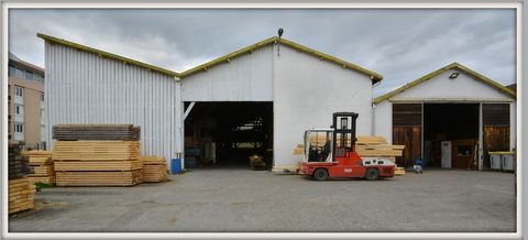 photo no. 1
