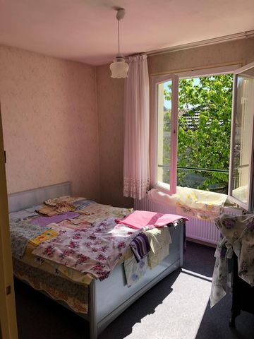 photo no. 9