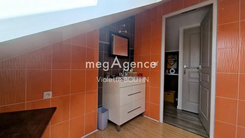 photo no. 12