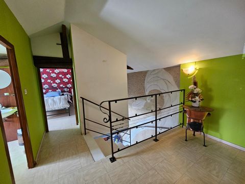 photo no. 9