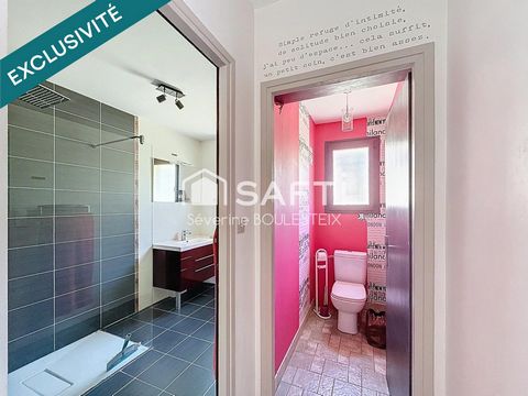 photo no. 9