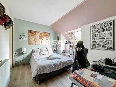 photo no. 8