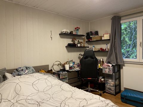 photo no. 12