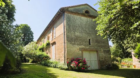 photo no. 6