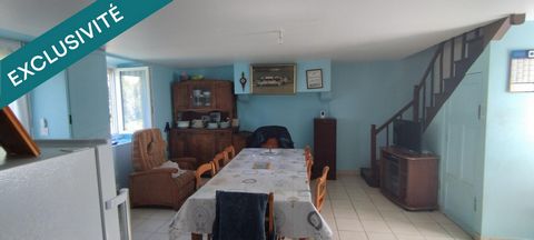 photo no. 5