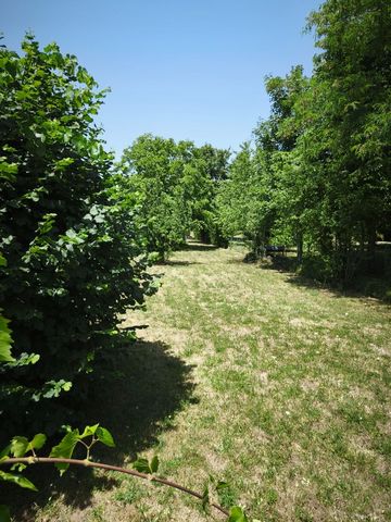 photo no. 1