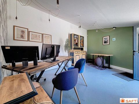 photo no. 9