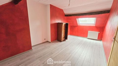 photo no. 11