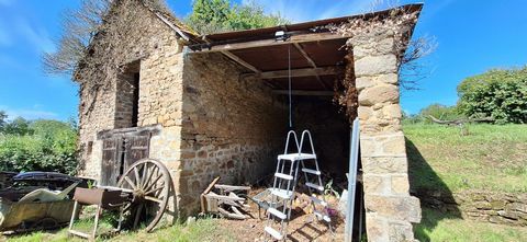 photo no. 4