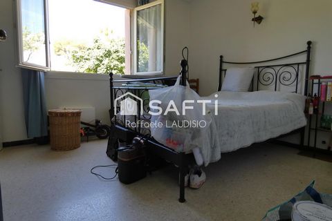 photo no. 9