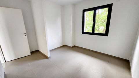 photo no. 8