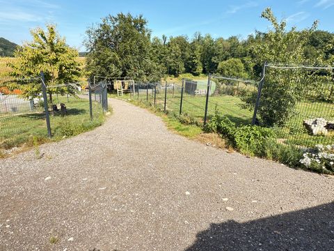 photo no. 10