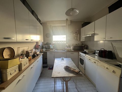 photo no. 10