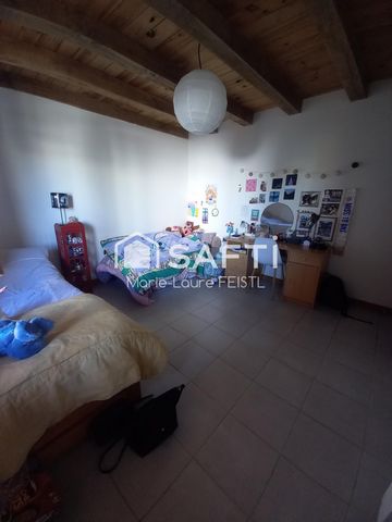 photo no. 8