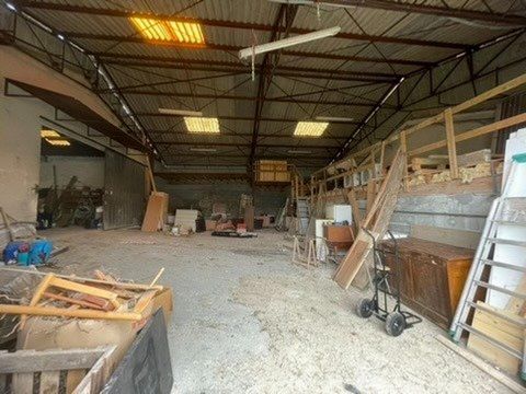 photo no. 7