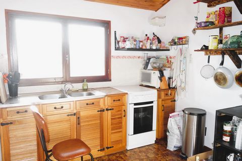 photo no. 9
