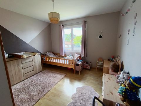 photo no. 8