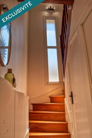 photo no. 12