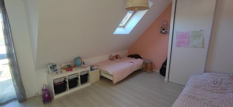 photo no. 7
