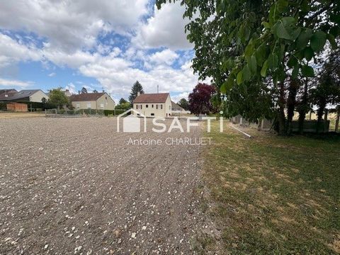 photo no. 14