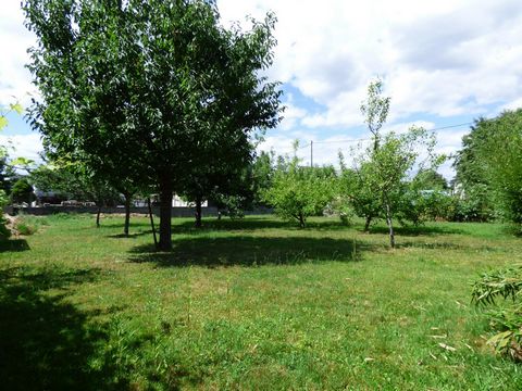 photo no. 11