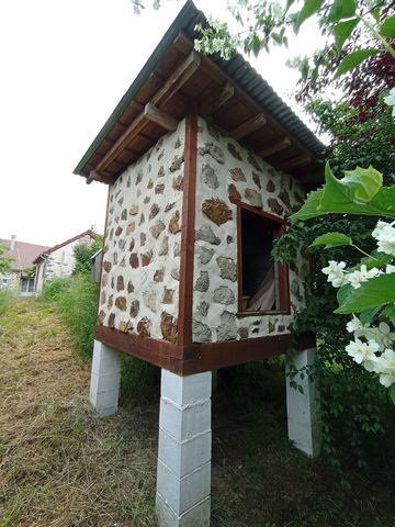 photo no. 8