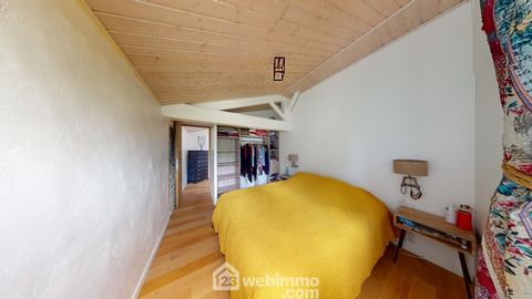 photo no. 16