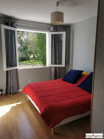 photo no. 11