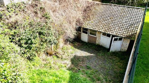 photo no. 19