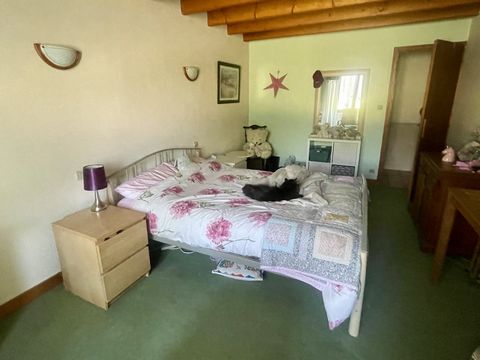 photo no. 5