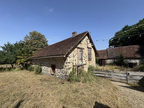 photo no. 17