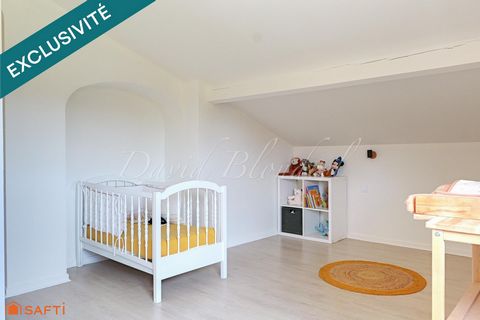photo no. 19