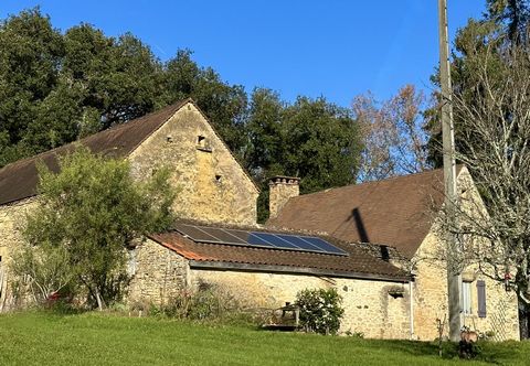 photo no. 4