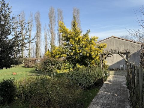 photo no. 29