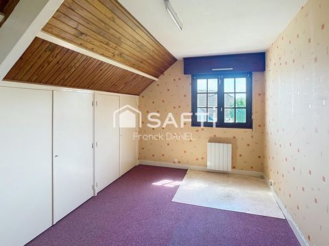 photo no. 6