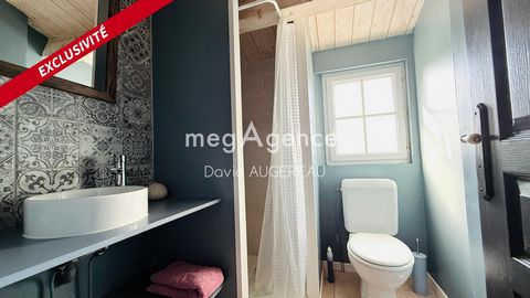 photo no. 12