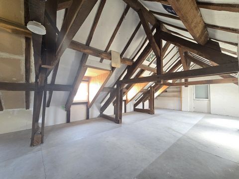 photo no. 14