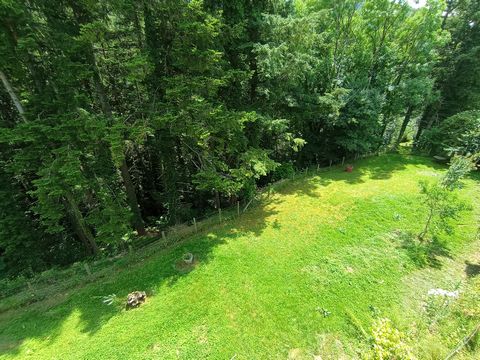 photo no. 3