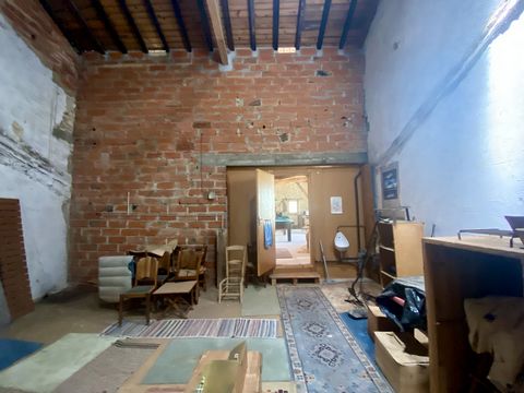 photo no. 23