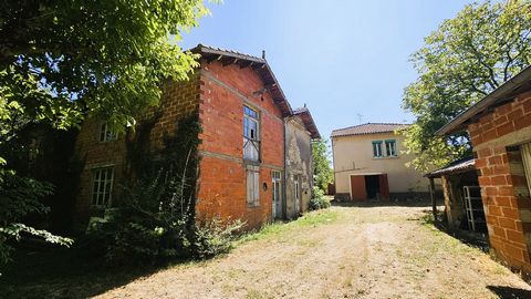 photo no. 14