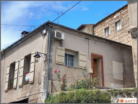 photo no. 11