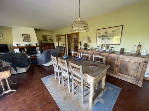 photo no. 10