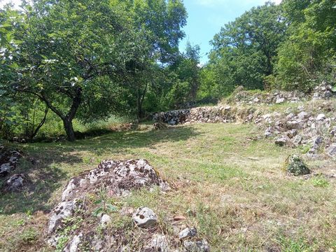 photo no. 13